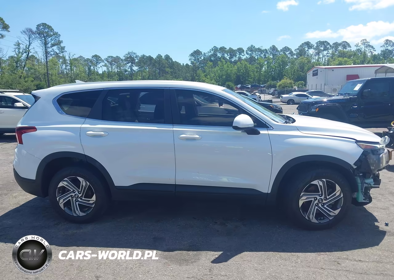 2021 Hyundai Santa Fe Se VIN:5NMS14AJ8MH365326 - 13