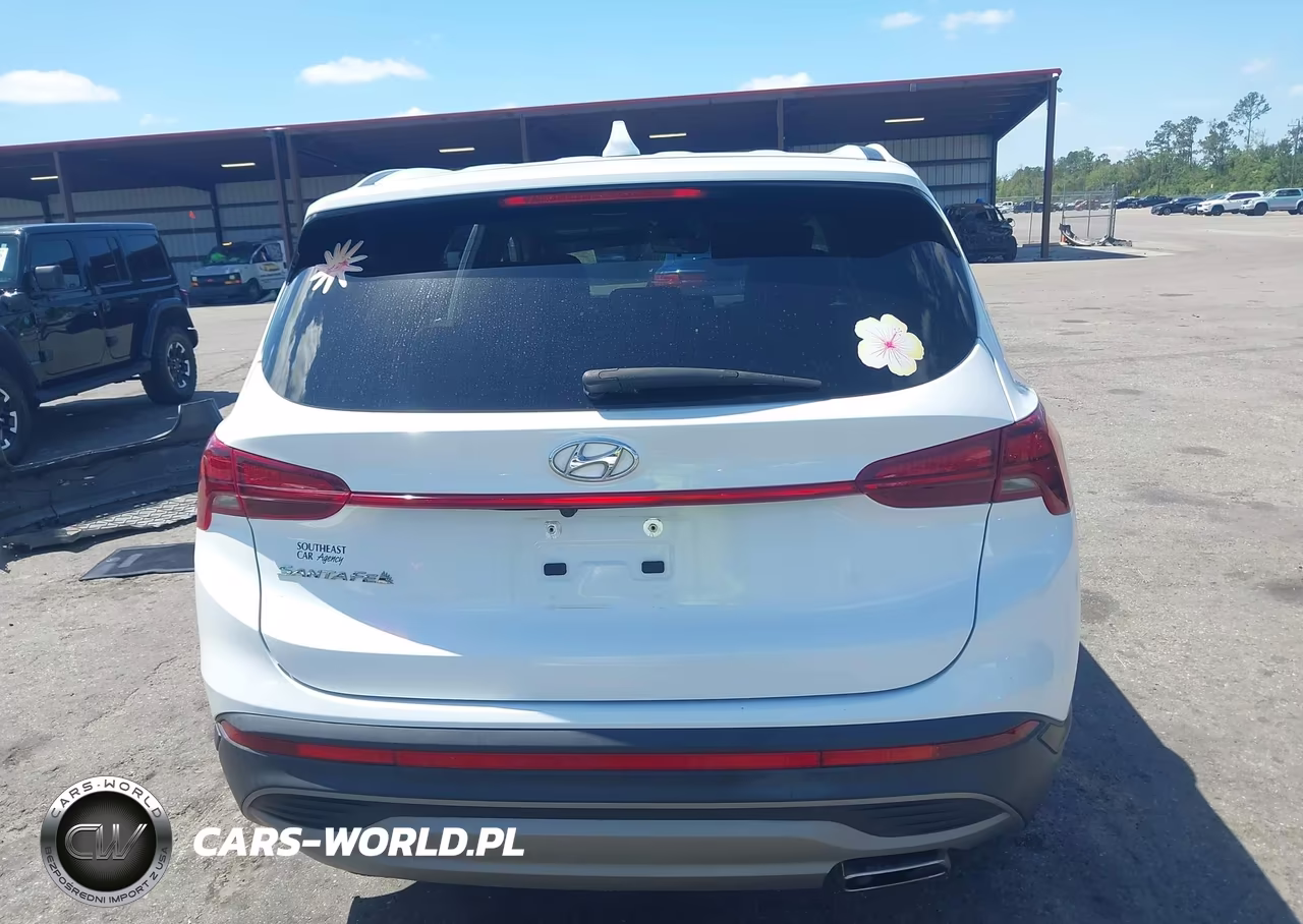 2021 Hyundai Santa Fe Se VIN:5NMS14AJ8MH365326 - 16