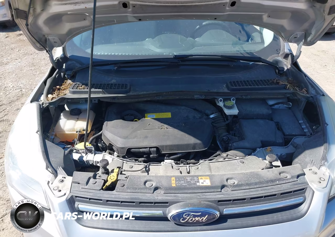 2015 Ford Escape Se VIN:1FMCU0GX2FUC37378 - 10