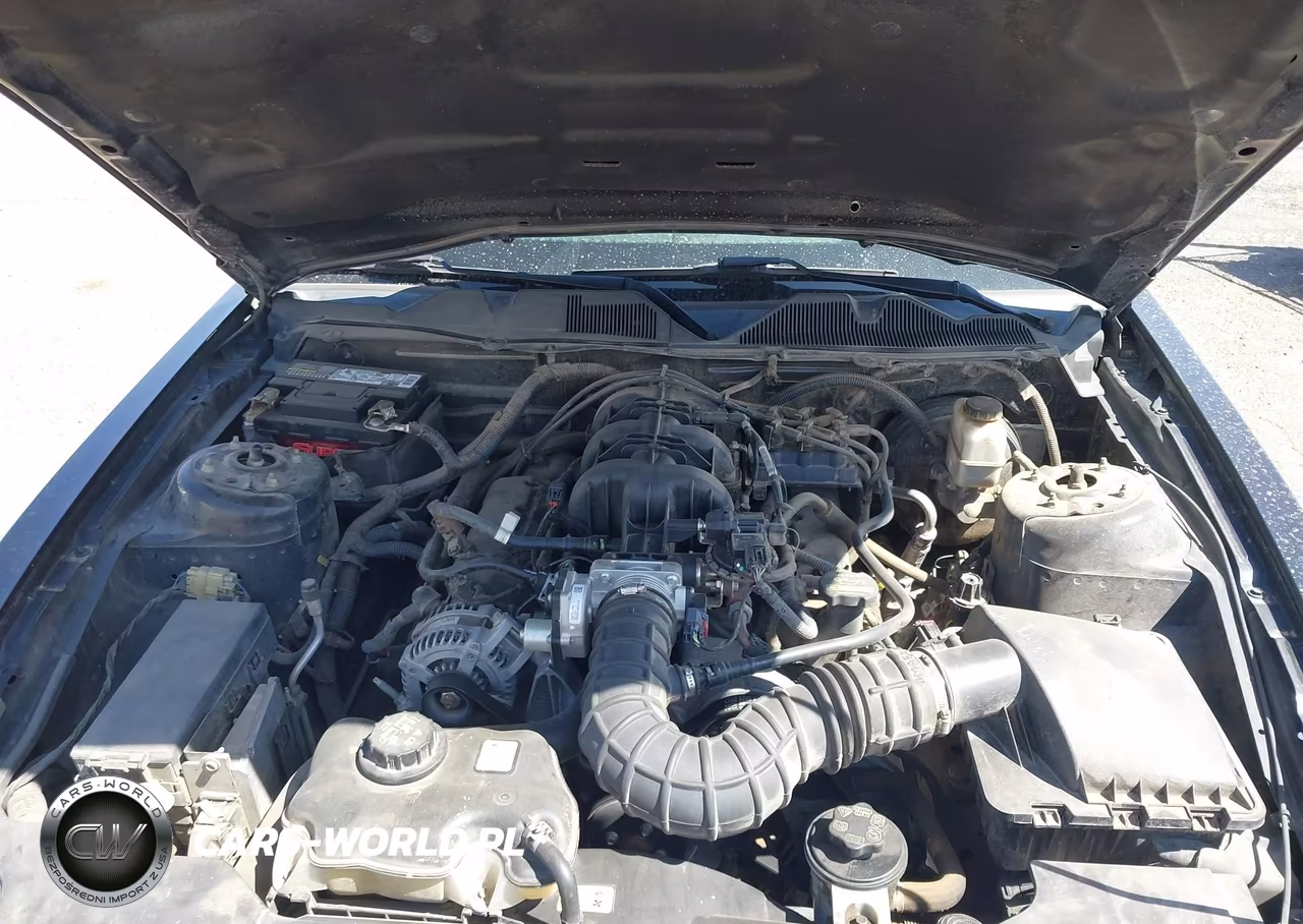 2010 Ford Mustang V6-V6 Premium VIN:1ZVBP8EN0A5178032 - 10
