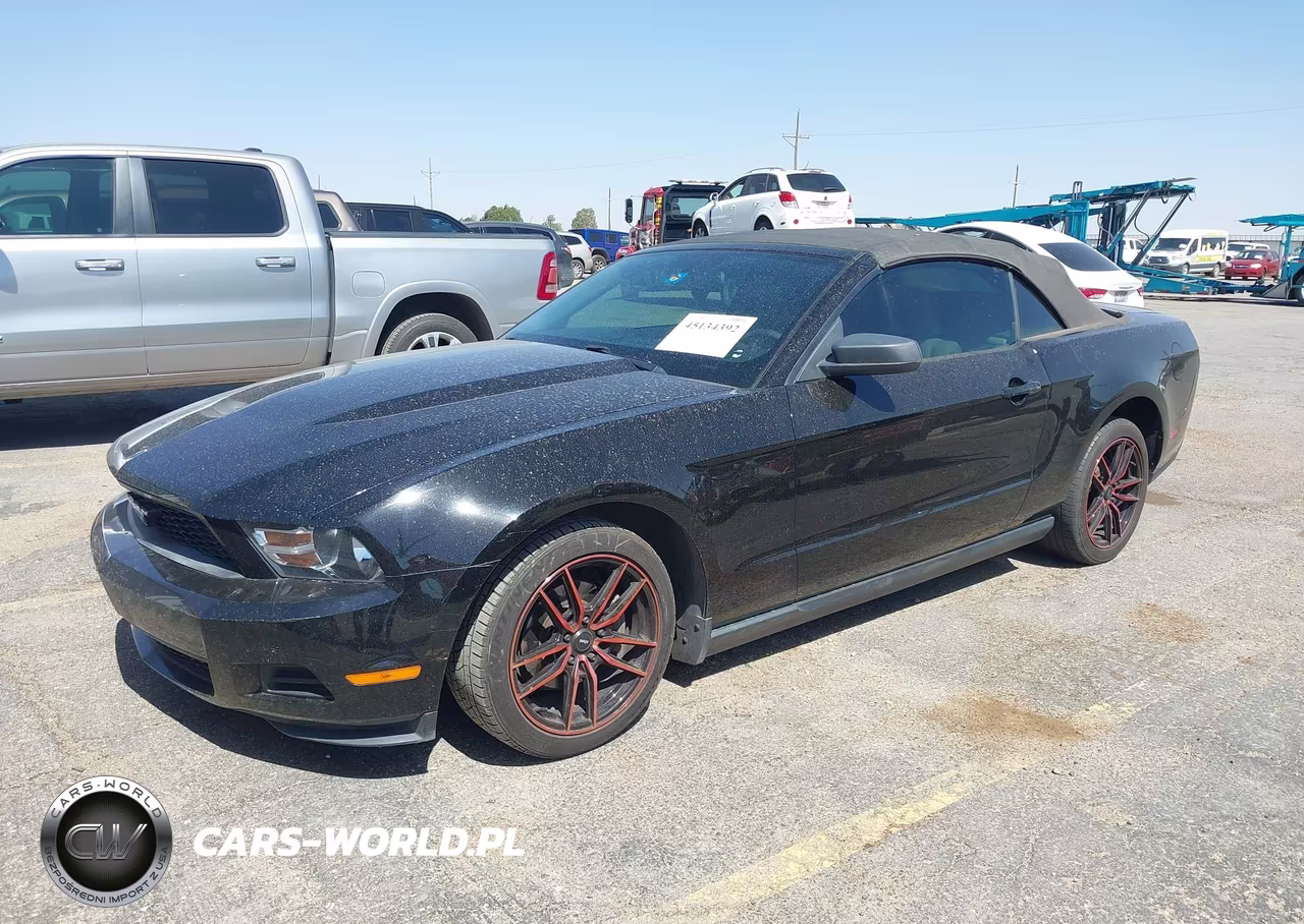 2010 Ford Mustang V6-V6 Premium VIN:1ZVBP8EN0A5178032 - 2