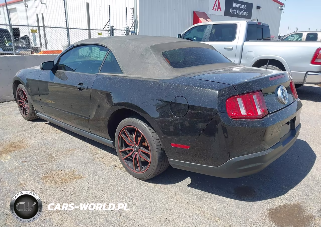 2010 Ford Mustang V6-V6 Premium VIN:1ZVBP8EN0A5178032 - 3