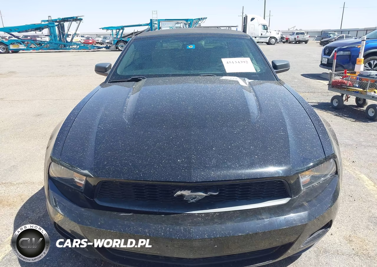 2010 Ford Mustang V6-V6 Premium VIN:1ZVBP8EN0A5178032 - 6