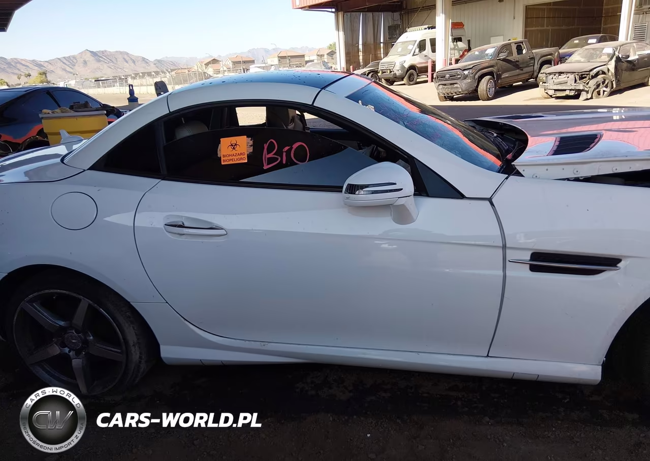 2015 Mercedes-Benz Slk 250 VIN:WDDPK4HA8FF106852 - 14