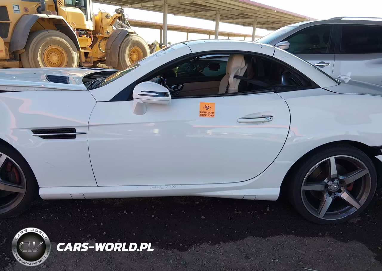 2015 Mercedes-Benz Slk 250 VIN:WDDPK4HA8FF106852 - 15
