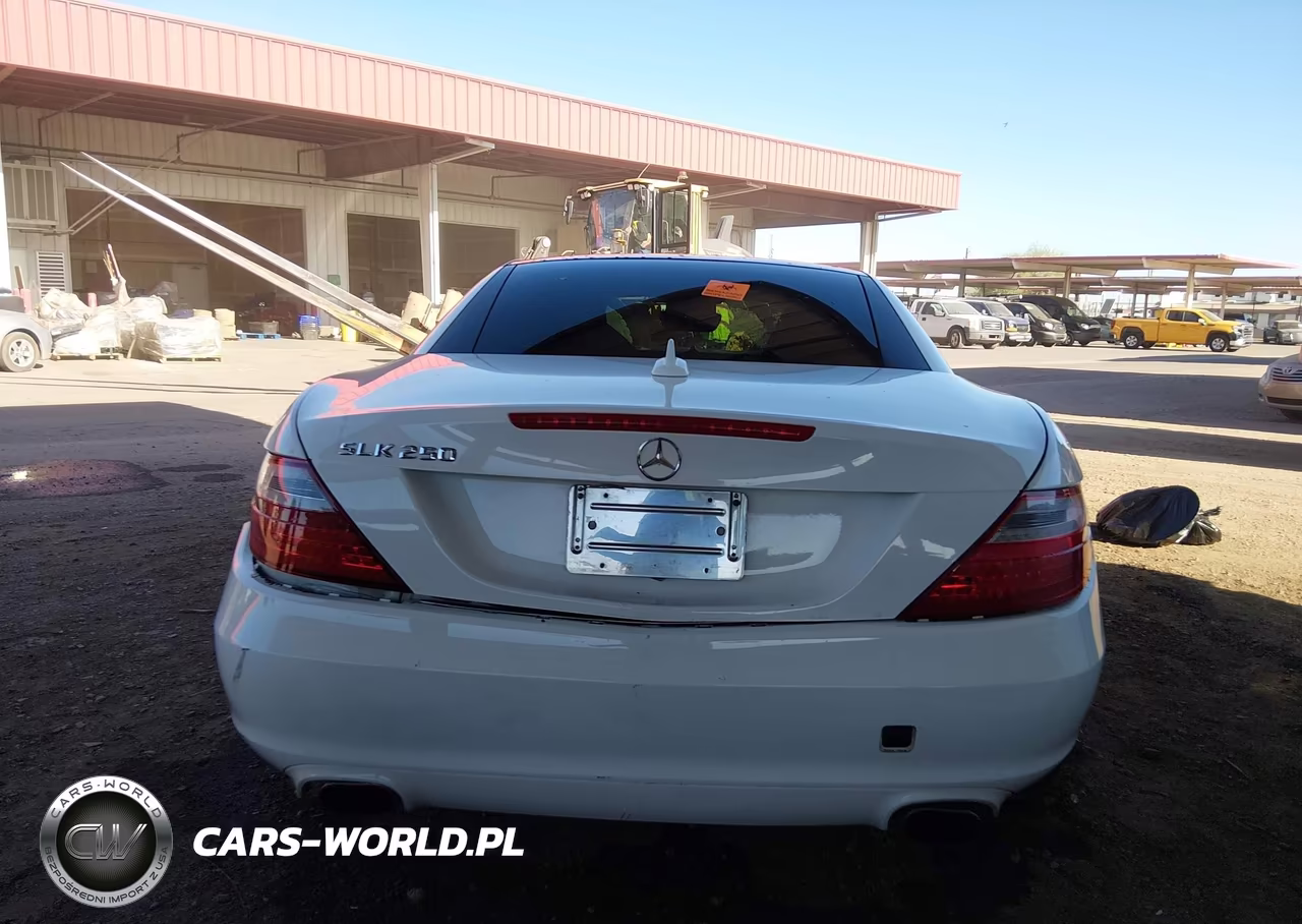 2015 Mercedes-Benz Slk 250 VIN:WDDPK4HA8FF106852 - 17