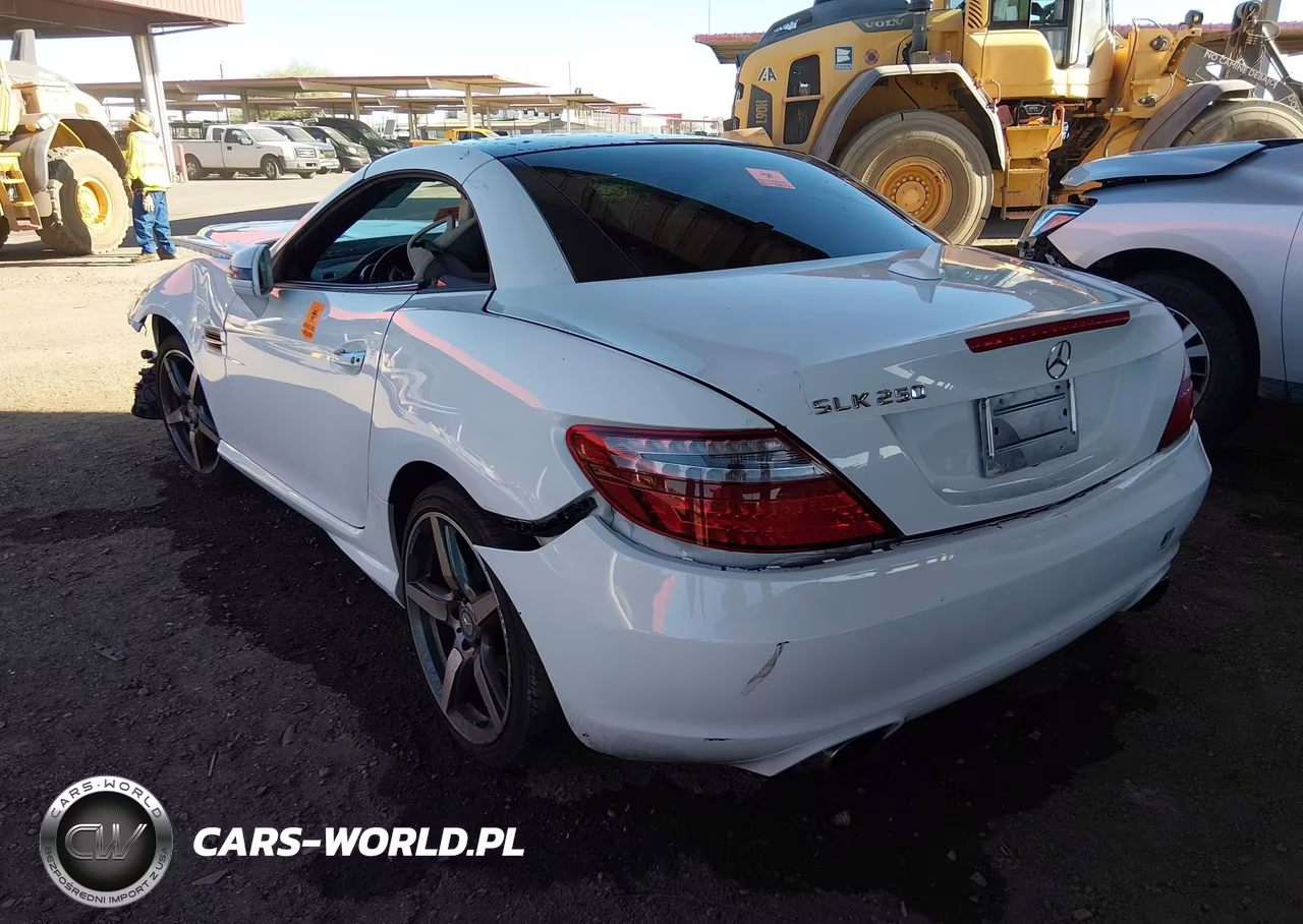 2015 Mercedes-Benz Slk 250 VIN:WDDPK4HA8FF106852 - 3