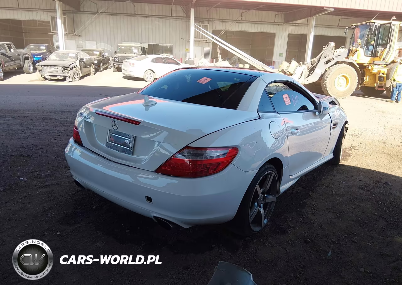 2015 Mercedes-Benz Slk 250 VIN:WDDPK4HA8FF106852 - 4