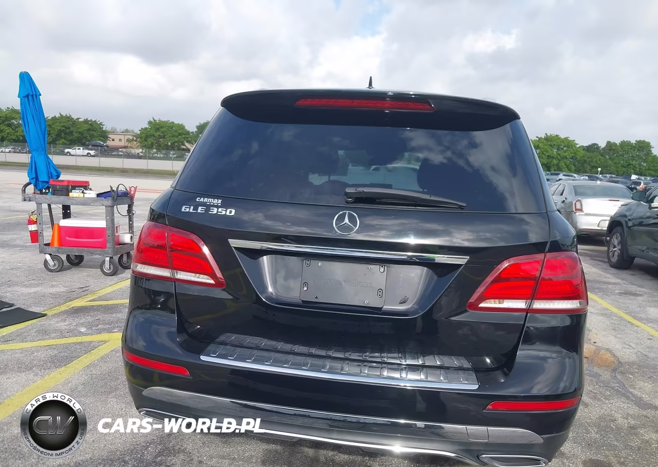 2017 Mercedes-Benz Gle 350 VIN:4JGDA5JB3HA978005 - 16