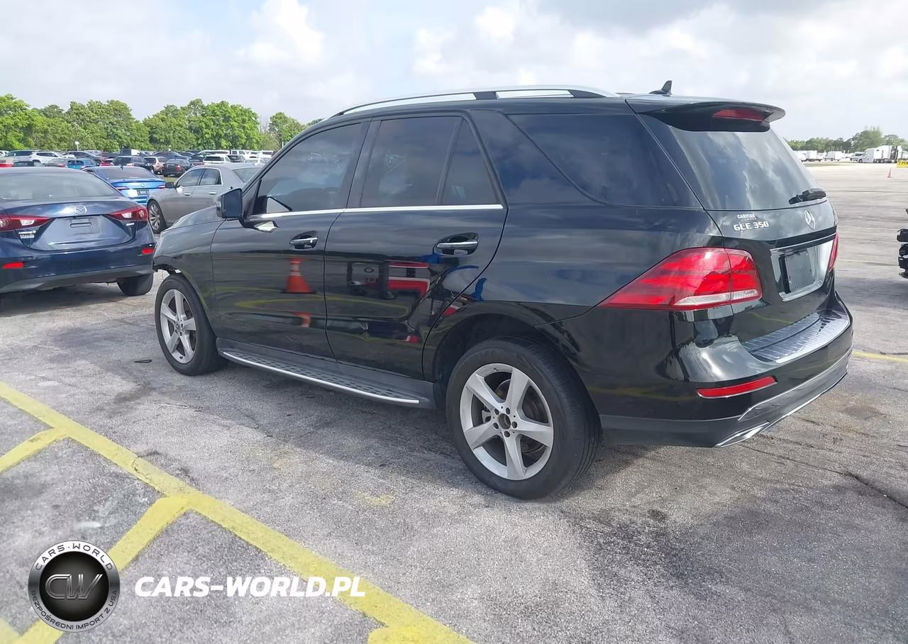 2017 Mercedes-Benz Gle 350 VIN:4JGDA5JB3HA978005 - 3