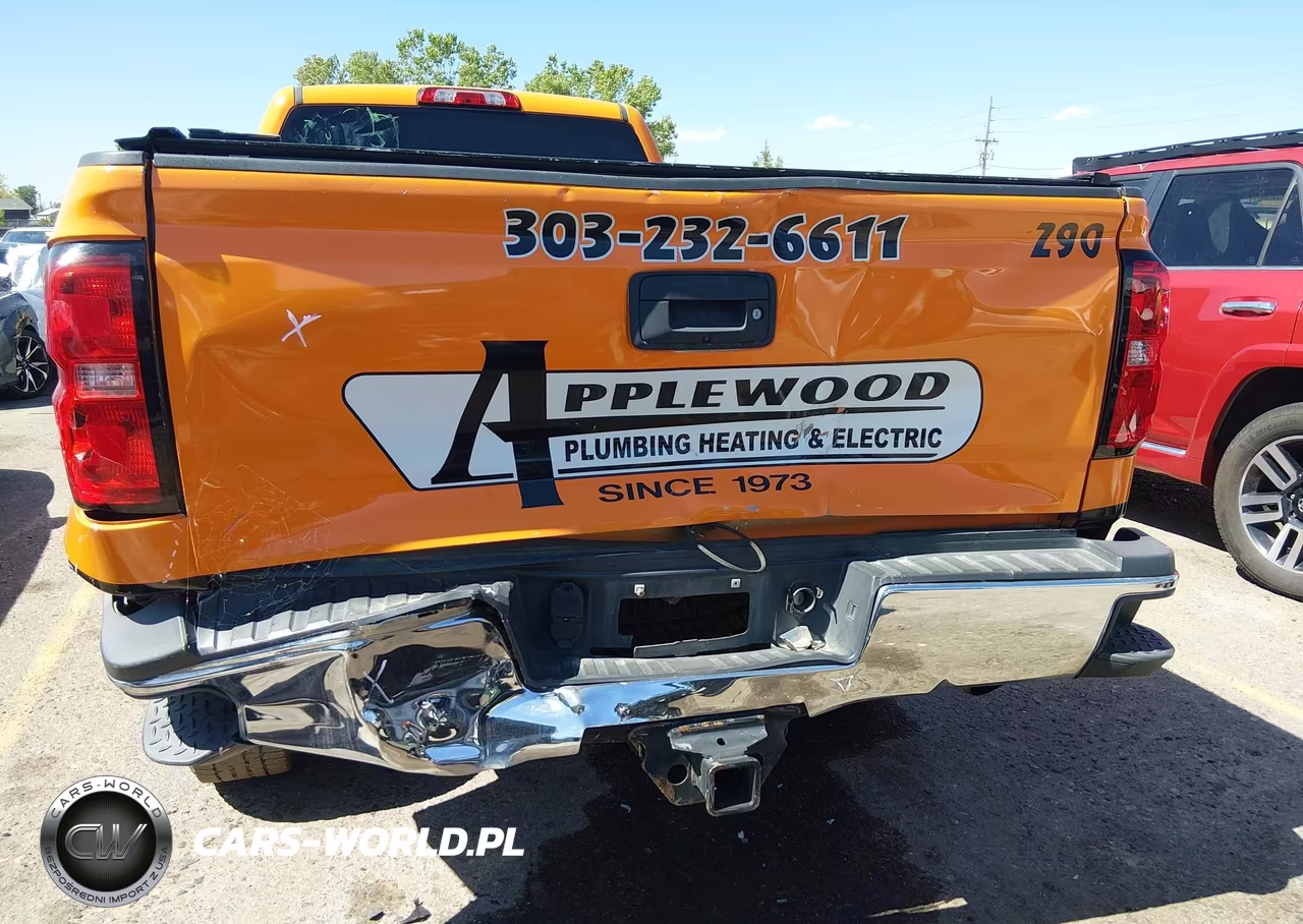 2017 Chevrolet Silverado 2500Hd Wt VIN:1GC2KUEG0HZ296032 - 20