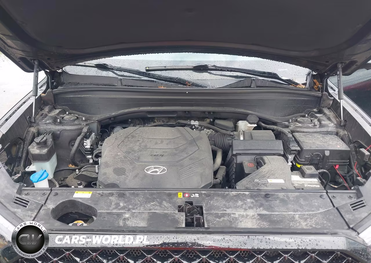 2021 Hyundai Palisade Calligraphy VIN:KM8R7DHE1MU178908 - 10