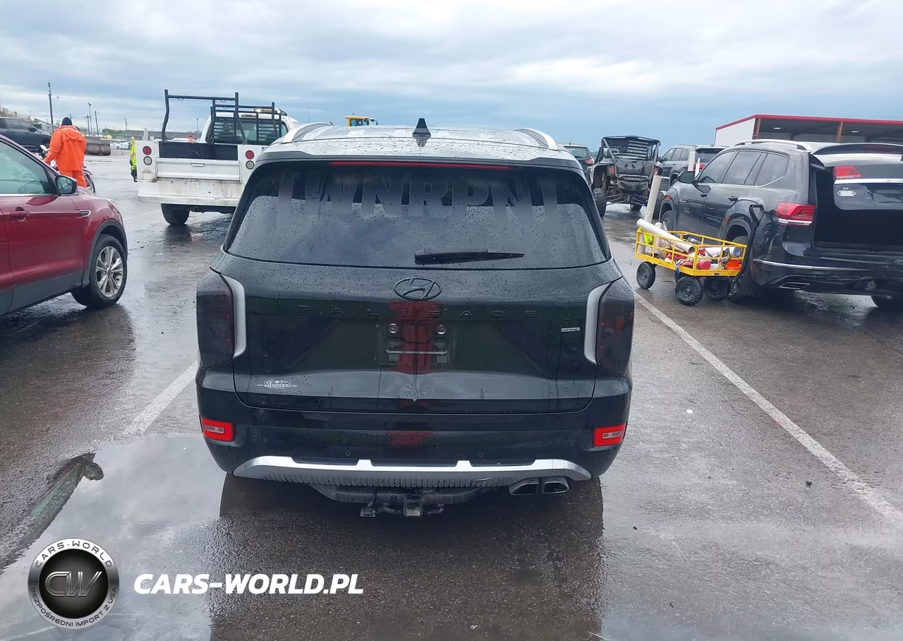 2021 Hyundai Palisade Calligraphy VIN:KM8R7DHE1MU178908 - 17