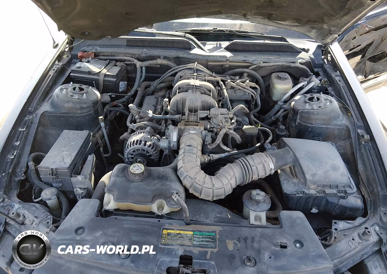 2007 Ford Mustang V6 Deluxe-V6 Premium VIN:1ZVFT80N775244377 - 10