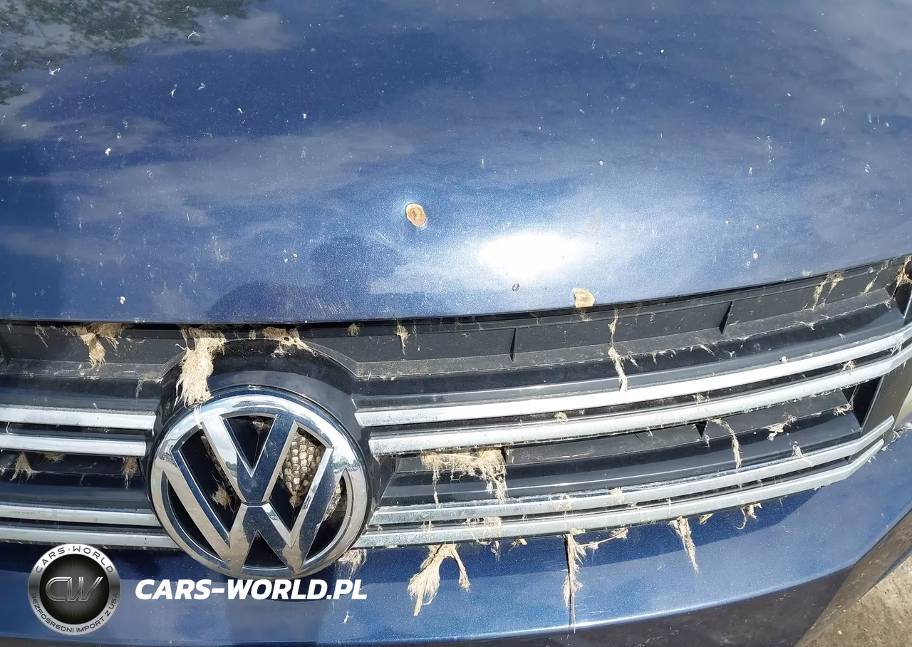 2016 Volkswagen Tiguan S VIN:WVGAV7AXXGW591239 - 12