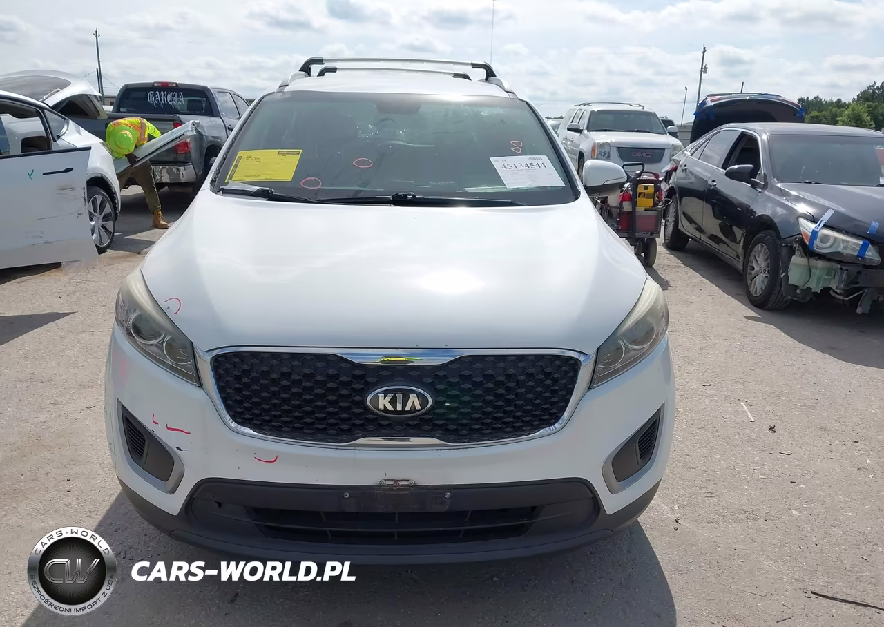 2018 Kia Sorento 2.4L Lx VIN:5XYPGDA39JG359093 - 13