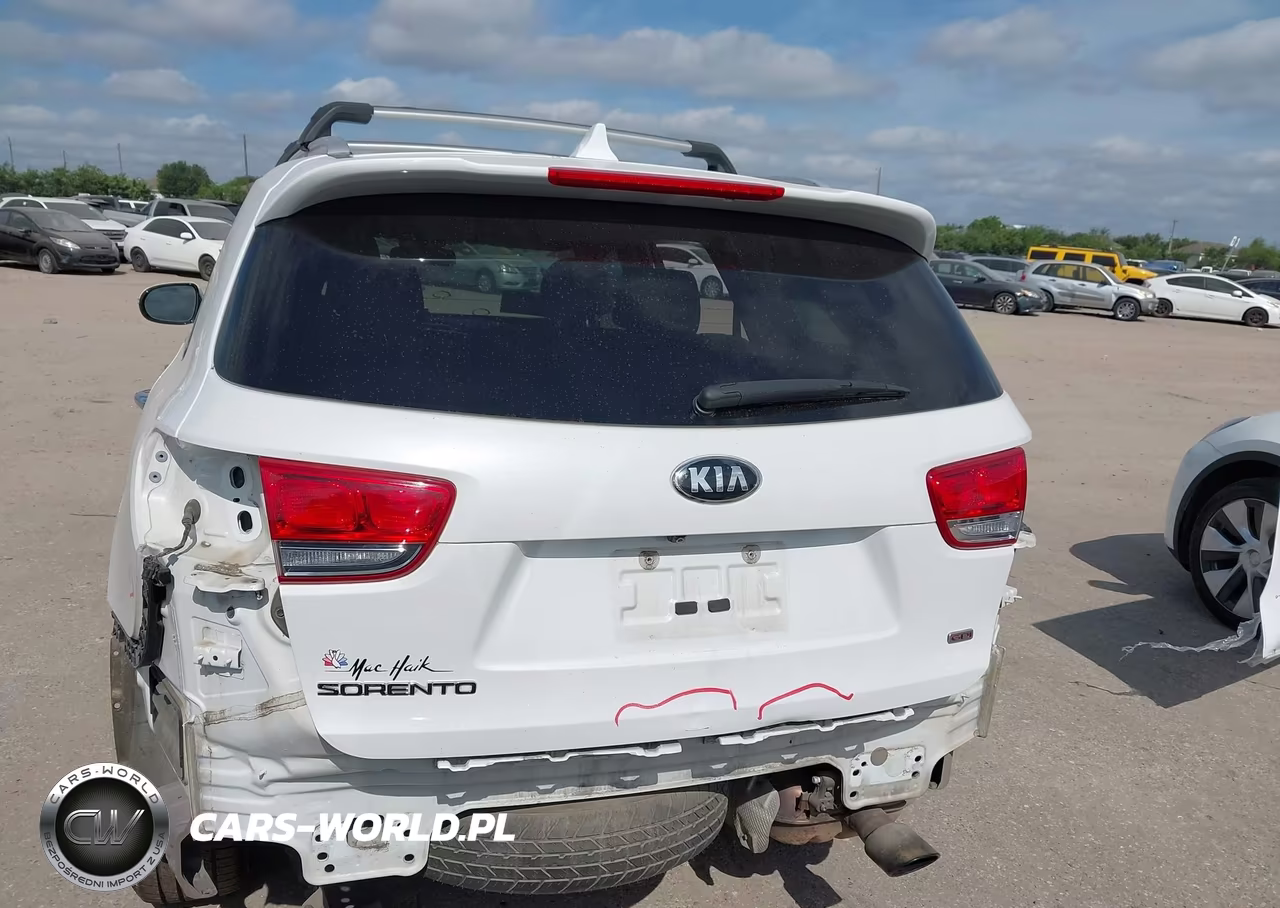 2018 Kia Sorento 2.4L Lx VIN:5XYPGDA39JG359093 - 17