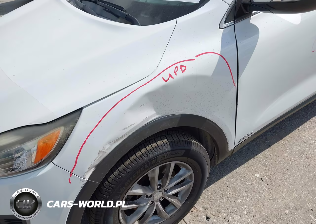 2018 Kia Sorento 2.4L Lx VIN:5XYPGDA39JG359093 - 20