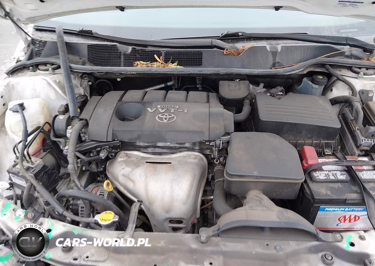2009 Toyota Venza VIN:4T3ZE11A19U019770 - 10