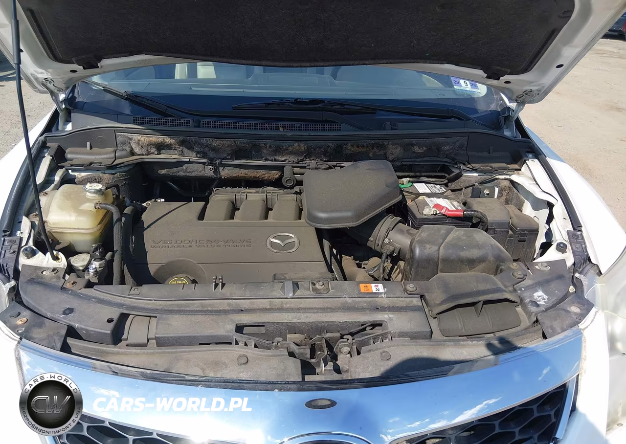 2012 Mazda Cx-9 Touring VIN:JM3TB3CV7C0333775 - 10
