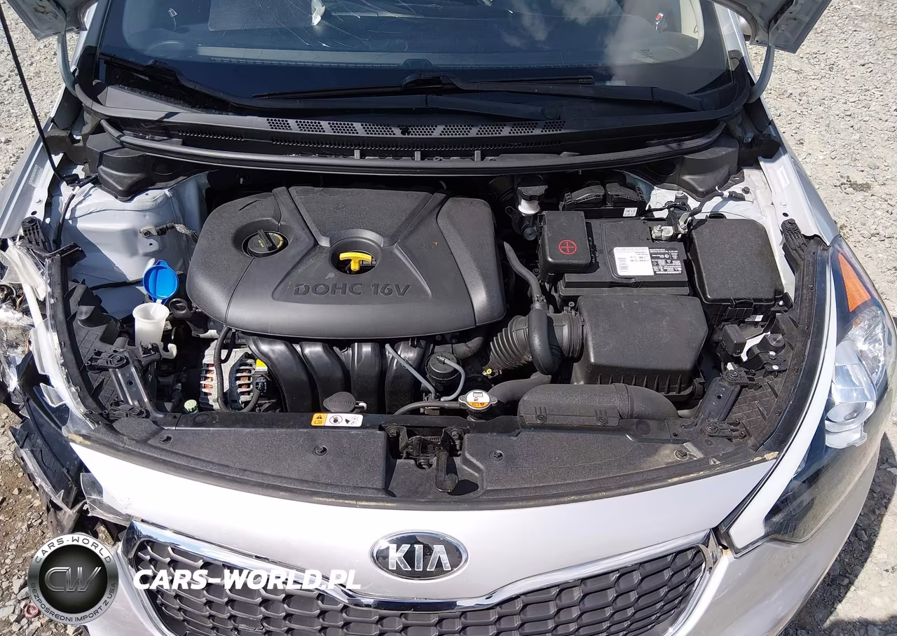 2014 Kia Forte Lx VIN:KNAFK4A60E5171191 - 10