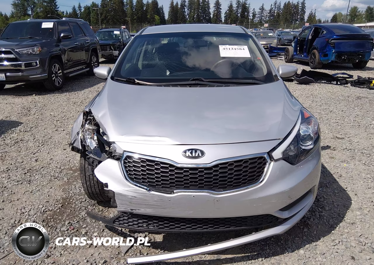 2014 Kia Forte Lx VIN:KNAFK4A60E5171191 - 13