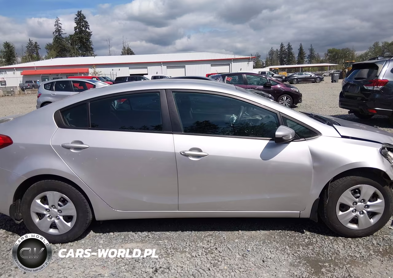 2014 Kia Forte Lx VIN:KNAFK4A60E5171191 - 14