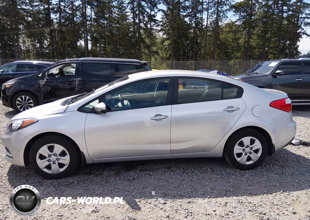 2014 Kia Forte Lx VIN:KNAFK4A60E5171191 - 15