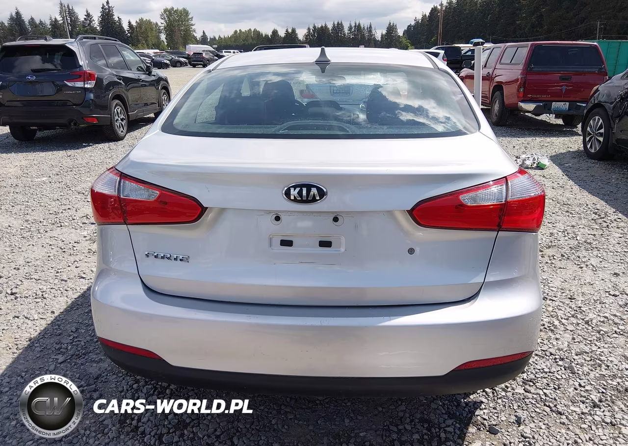 2014 Kia Forte Lx VIN:KNAFK4A60E5171191 - 17
