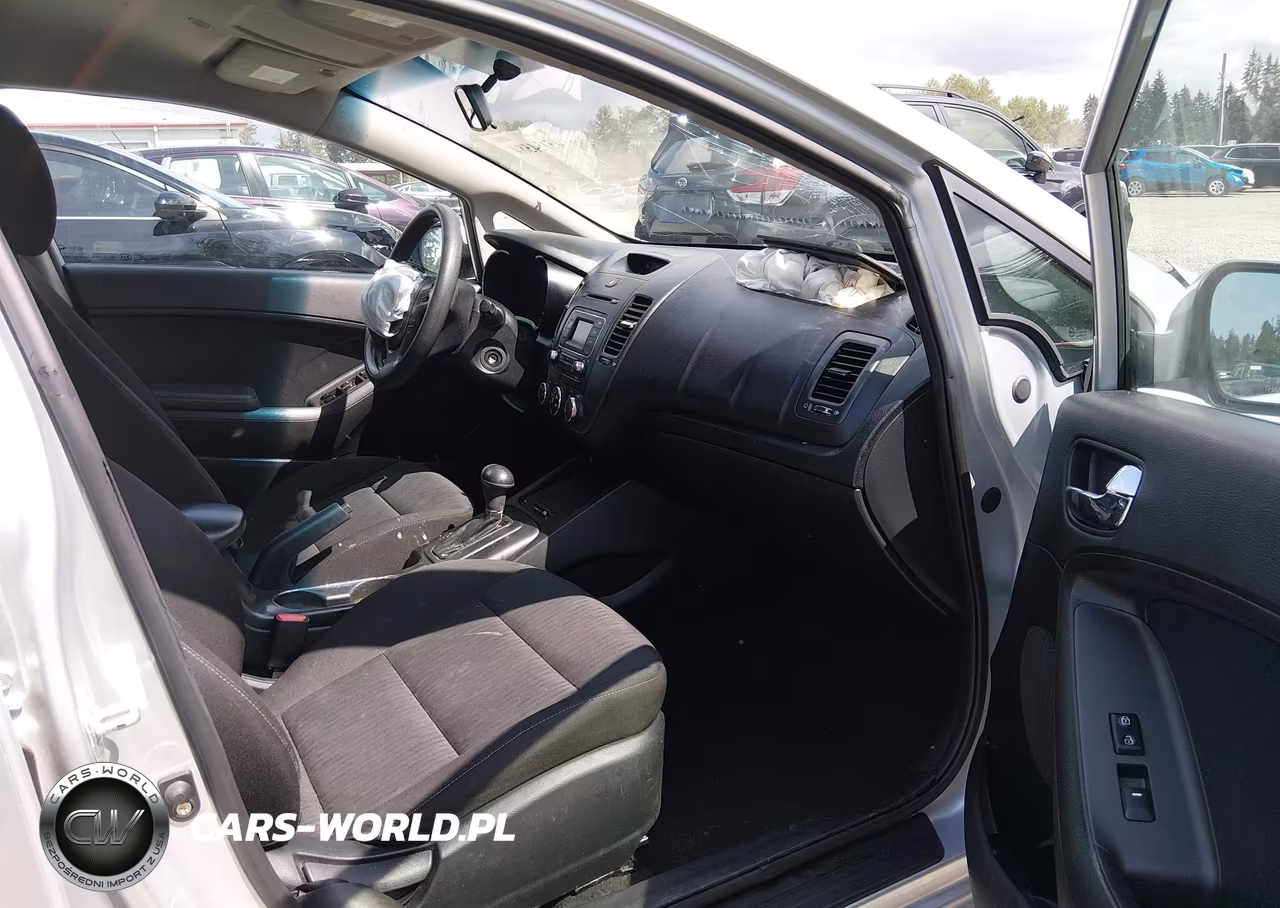 2014 Kia Forte Lx VIN:KNAFK4A60E5171191 - 18