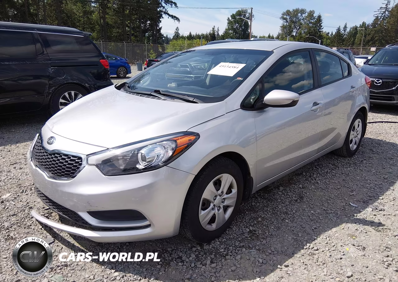 2014 Kia Forte Lx VIN:KNAFK4A60E5171191 - 2