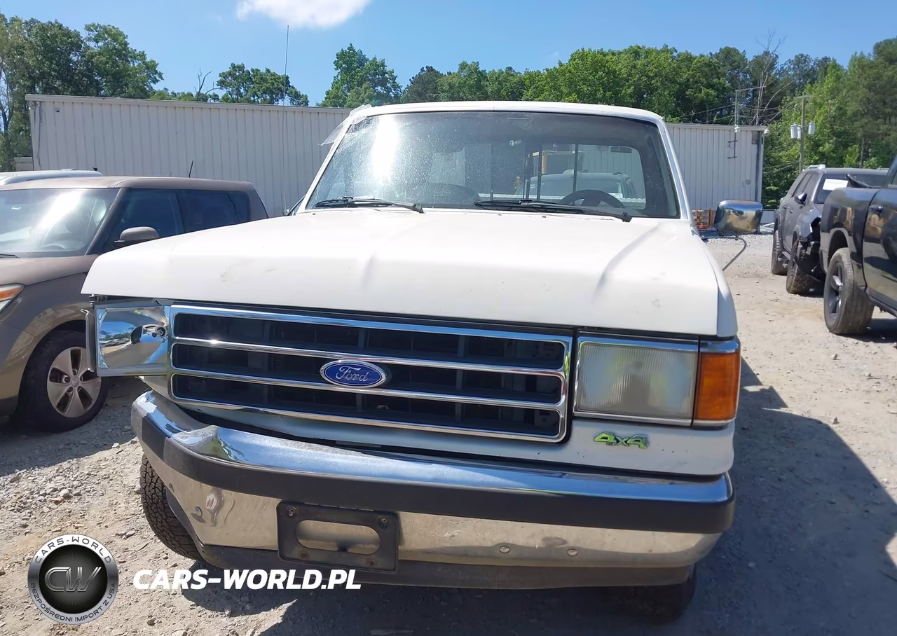 1991 Ford F150 VIN:1FTEX14H6MKA12316 - 10