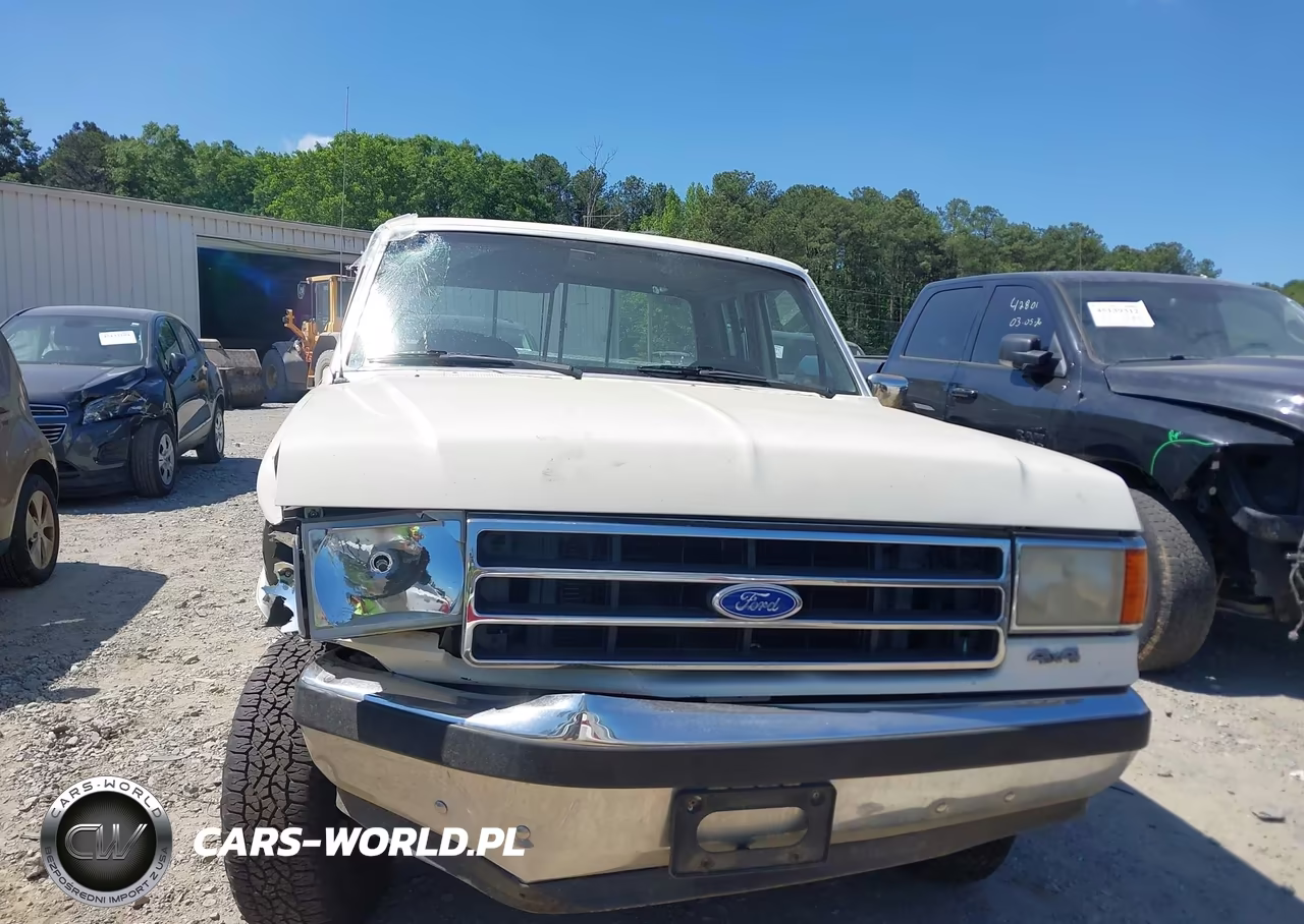 1991 Ford F150 VIN:1FTEX14H6MKA12316 - 12