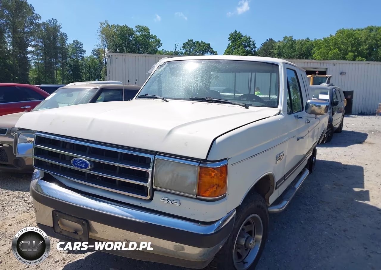1991 Ford F150 VIN:1FTEX14H6MKA12316 - 2