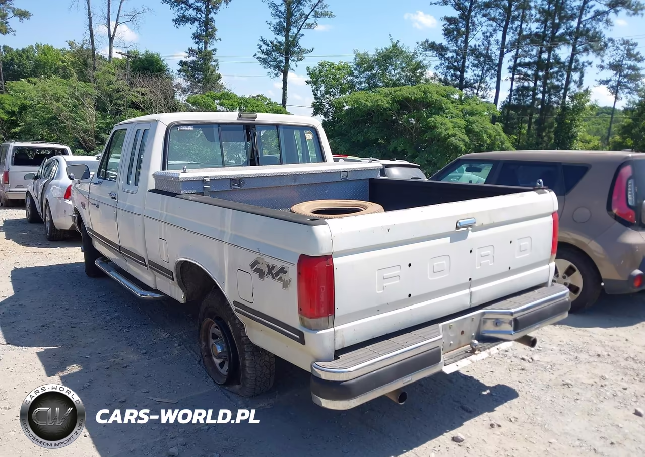 1991 Ford F150 VIN:1FTEX14H6MKA12316 - 3