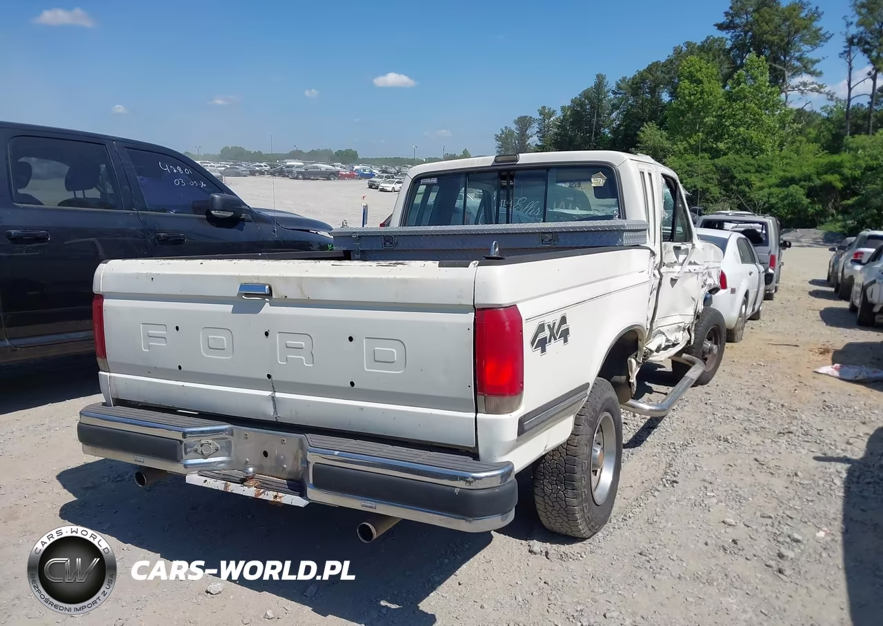 1991 Ford F150 VIN:1FTEX14H6MKA12316 - 4