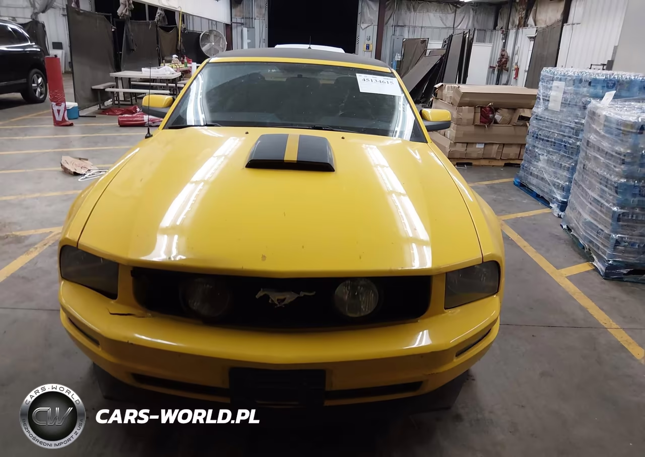2005 Ford Mustang VIN:1ZVFT84NX55231842 - 12