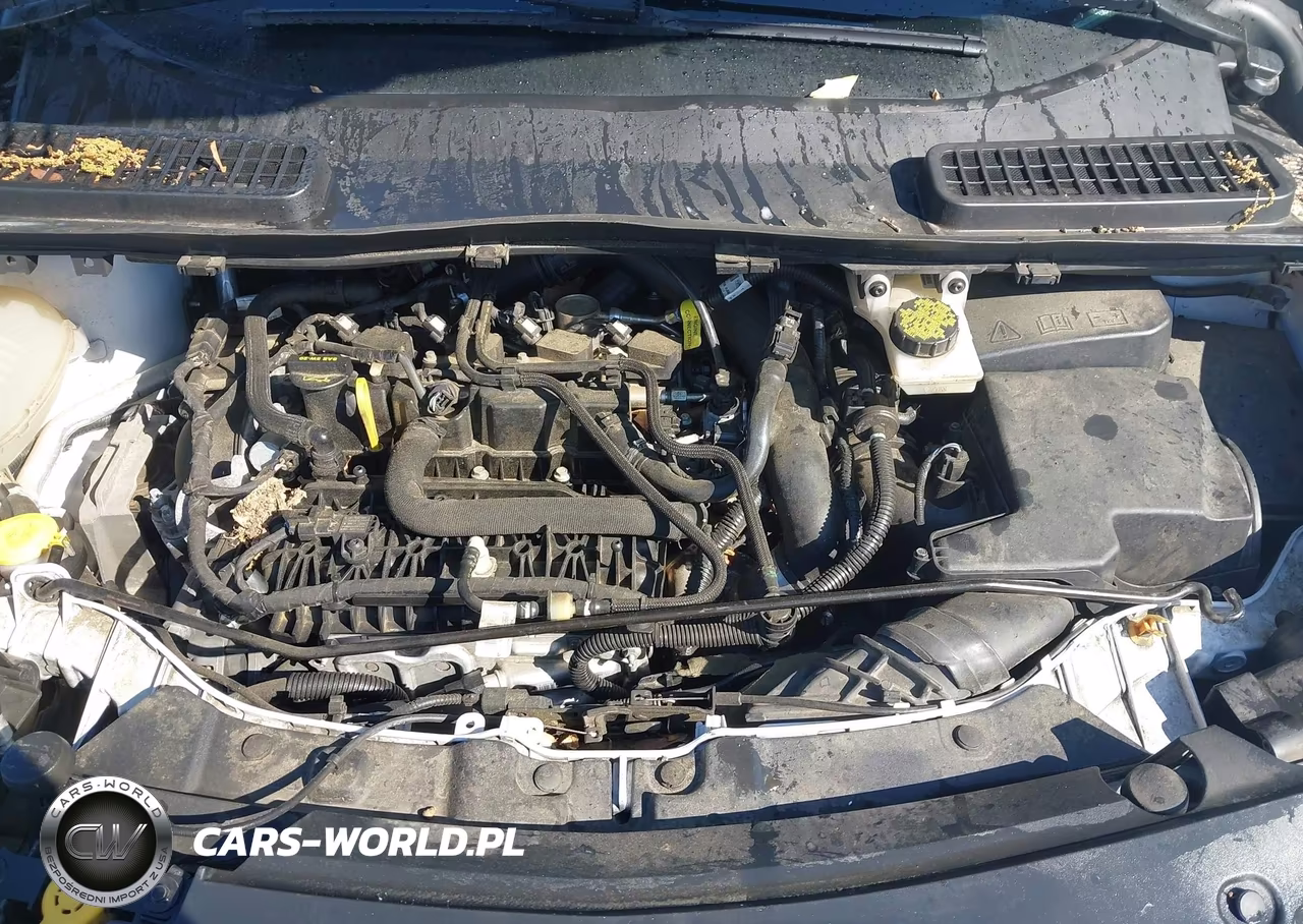 2019 Ford Escape Se VIN:1FMCU0GD9KUA58254 - 10