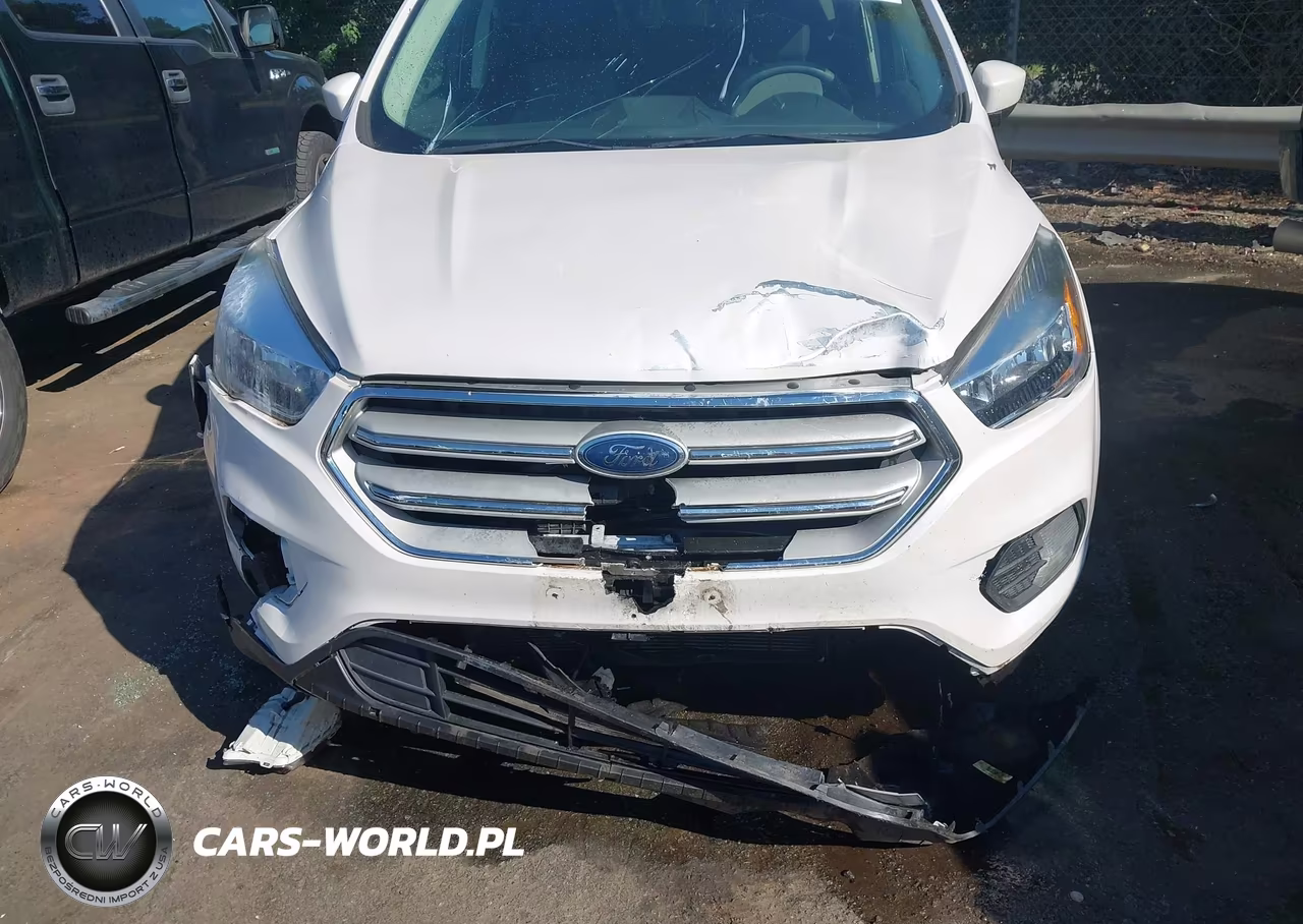 2019 Ford Escape Se VIN:1FMCU0GD9KUA58254 - 12