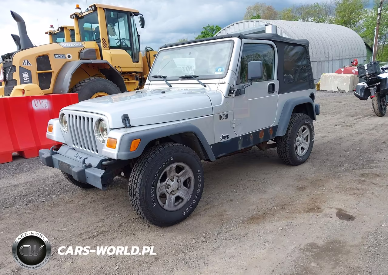 2004 Jeep Wrangler X VIN:1J4FA39S94P786885 - 2