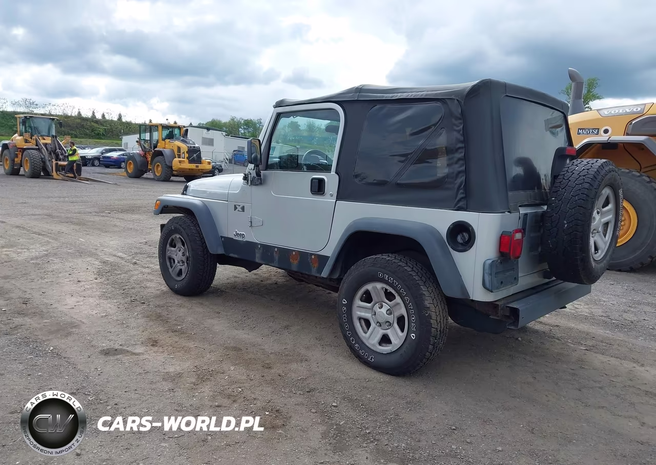 2004 Jeep Wrangler X VIN:1J4FA39S94P786885 - 3