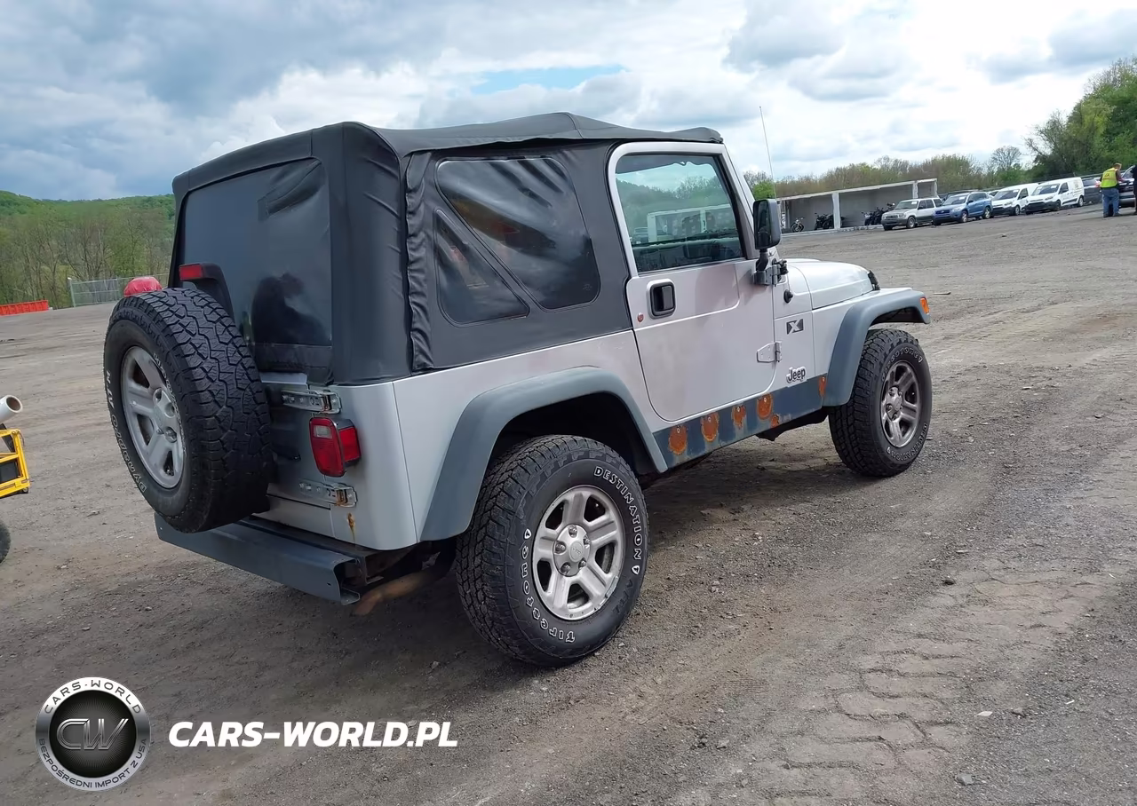 2004 Jeep Wrangler X VIN:1J4FA39S94P786885 - 4