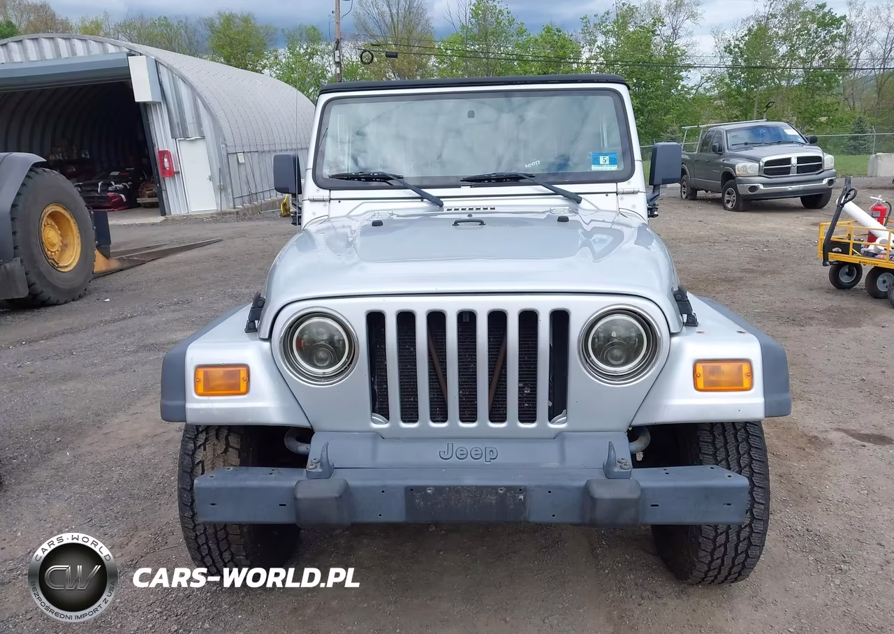 2004 Jeep Wrangler X VIN:1J4FA39S94P786885 - 6