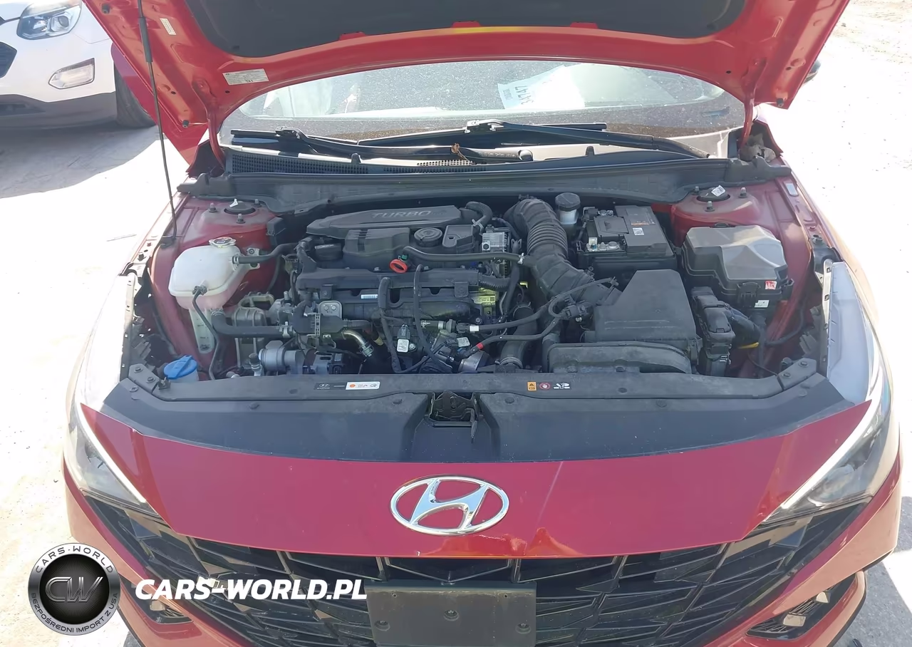 2022 Hyundai Elantra N Line VIN:KMHLR4AF2NU349041 - 10