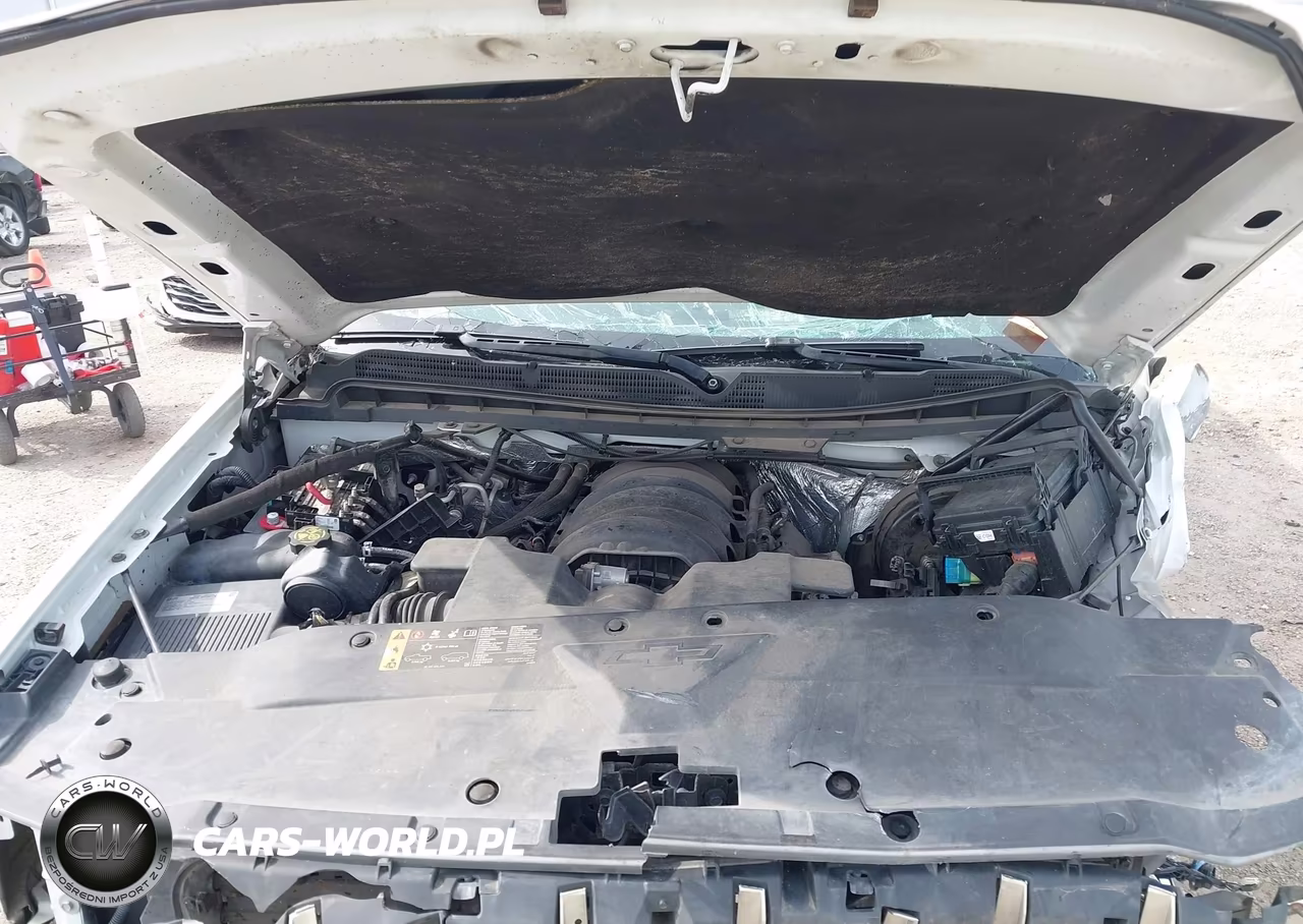 2017 Chevrolet Silverado 1500 1Lz VIN:1GCVKSECXHZ121205 - 10