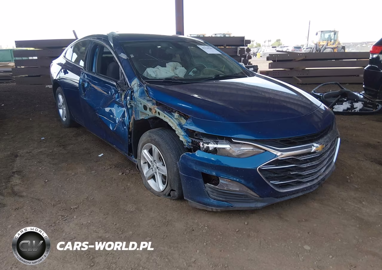 2019 Chevrolet Malibu 1Ls