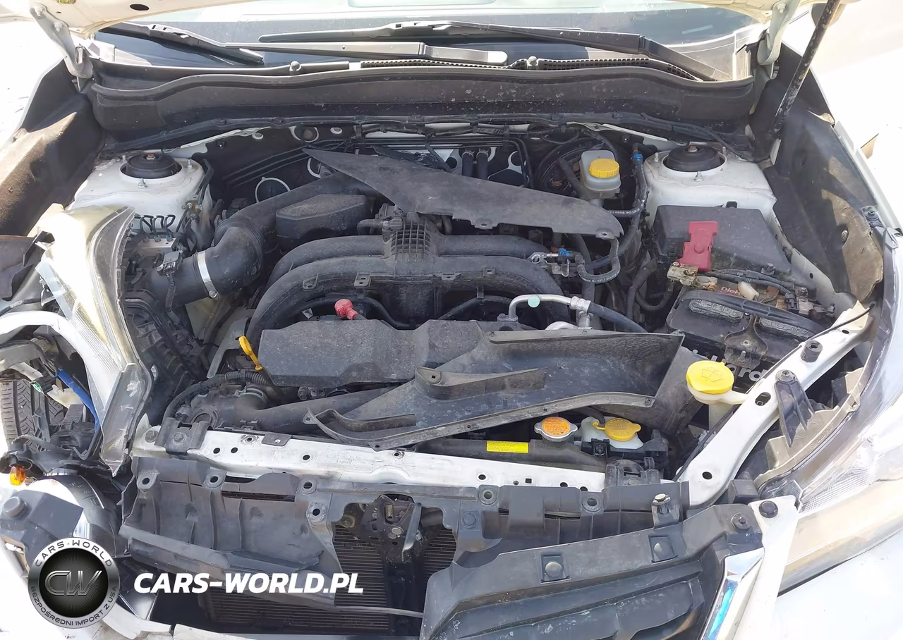 2017 Subaru Forester 2.5I Premium VIN:JF2SJAEC4HH448643 - 10