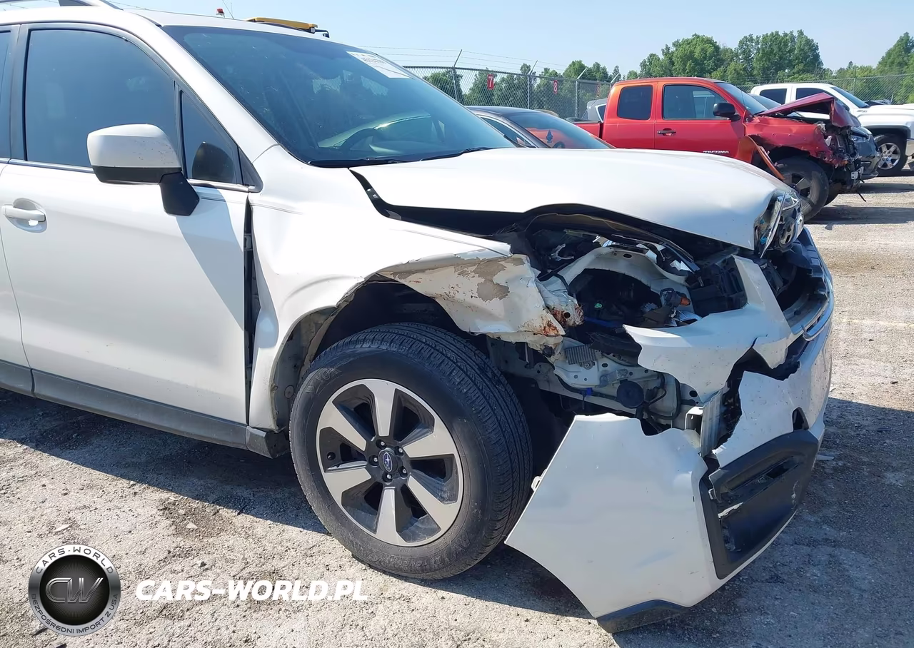 2017 Subaru Forester 2.5I Premium VIN:JF2SJAEC4HH448643 - 6
