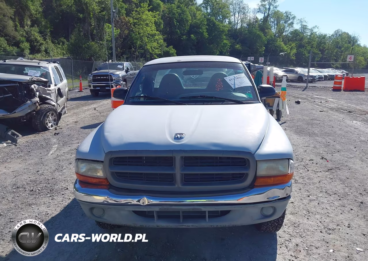 1999 Dodge Dakota Slt-Sport VIN:1B7GG26X3XS211573 - 12