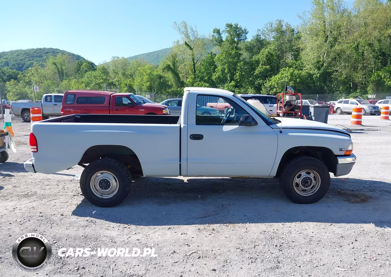 1999 Dodge Dakota Slt-Sport VIN:1B7GG26X3XS211573 - 13